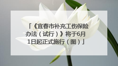 《宜春市补充工伤保险办法（试行）》将于6月1日起正式施行（图）