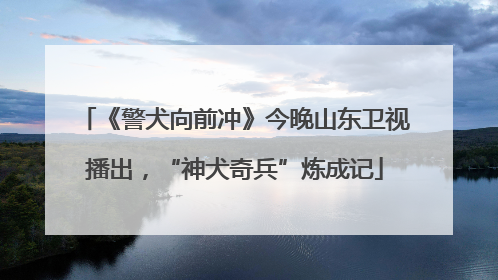 《警犬向前冲》今晚山东卫视播出，“神犬奇兵”炼成记