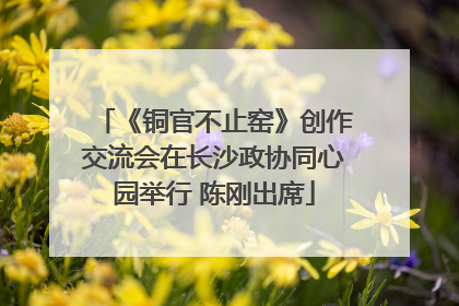 《铜官不止窑》创作交流会在长沙政协同心园举行 陈刚出席