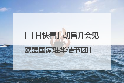 「甘快看」胡昌升会见欧盟国家驻华使节团
