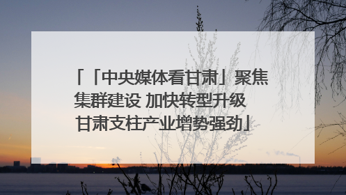「中央媒体看甘肃」聚焦集群建设 加快转型升级 甘肃支柱产业增势强劲