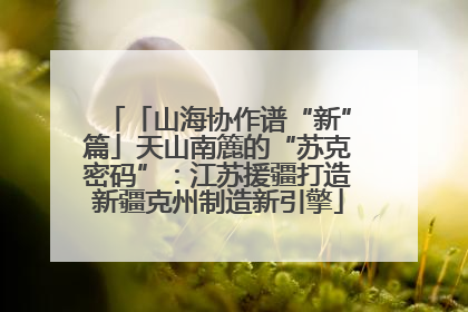 「山海协作谱“新”篇」天山南簏的“苏克密码”：江苏援疆打造新疆克州制造新引擎