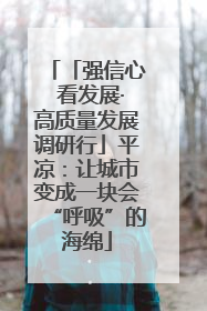 「强信心 看发展·高质量发展调研行」平凉：让城市变成一块会“呼吸”的海绵