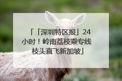 「深圳特区报」24小时！岭南荔枝乘专线 枝头直飞新加坡