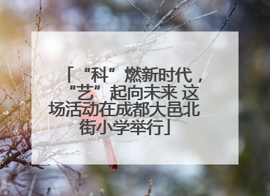 “科”燃新时代，“艺”起向未来 这场活动在成都大邑北街小学举行