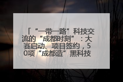 “一带一路”科技交流的“成都时刻”：大赛启动、项目签约，50项“成都造”黑科技吸引多国客商