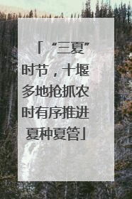 “三夏”时节，十堰多地抢抓农时有序推进夏种夏管