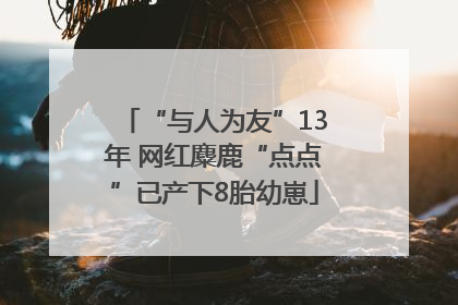 “与人为友”13年 网红麋鹿“点点”已产下8胎幼崽