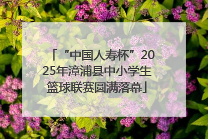 “中国人寿杯”2025年漳浦县中小学生篮球联赛圆满落幕