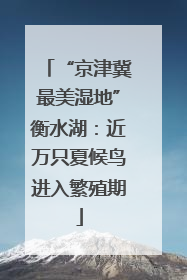 “京津冀最美湿地”衡水湖：近万只夏候鸟进入繁殖期