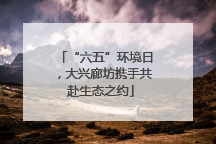 “六五”环境日，大兴廊坊携手共赴生态之约