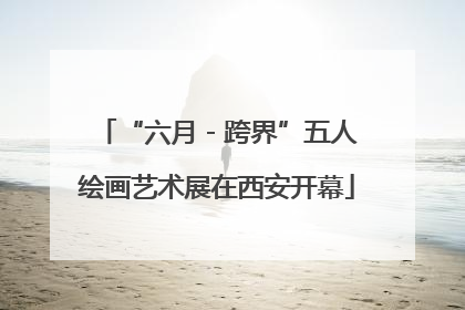 “六月 - 跨界”五人绘画艺术展在西安开幕