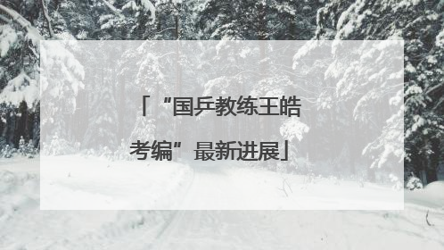 “国乒教练王皓考编”最新进展
