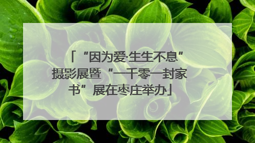 “因为爱·生生不息”摄影展暨“一千零一封家书”展在枣庄举办