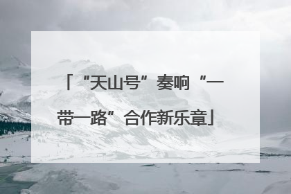 “天山号”奏响“一带一路”合作新乐章