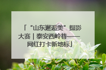 “山东邂逅美”摄影大赛｜泰安西岭巷——网红打卡新地标