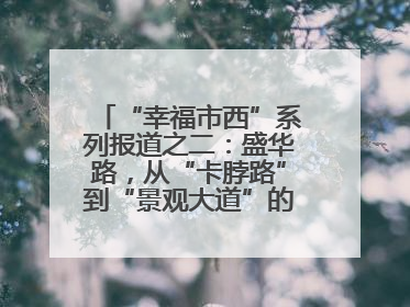 “幸福市西”系列报道之二：盛华路，从“卡脖路”到“景观大道”的华丽转身