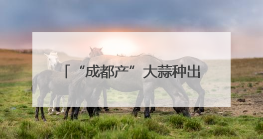 “成都产”大蒜种出超2亿元产值，远销欧洲、非洲、东南亚
