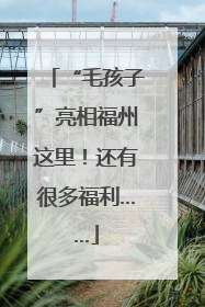 “毛孩子”亮相福州这里！还有很多福利……