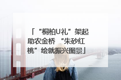 “桐柏U礼”架起助农金桥 “朱砂红桃”绘就振兴图景