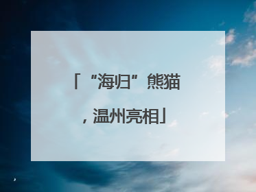 “海归”熊猫，温州亮相