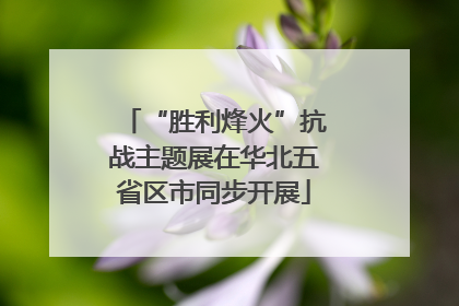“胜利烽火”抗战主题展在华北五省区市同步开展