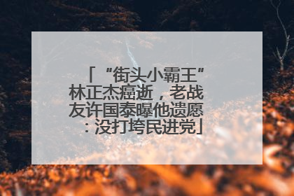 “街头小霸王”林正杰癌逝，老战友许国泰曝他遗愿：没打垮民进党
