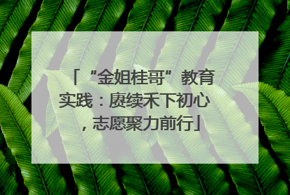 “金姐桂哥”教育实践：赓续禾下初心，志愿聚力前行