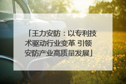 王力安防：以专利技术驱动行业变革 引领安防产业高质量发展