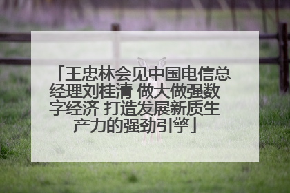 王忠林会见中国电信总经理刘桂清 做大做强数字经济 打造发展新质生产力的强劲引擎