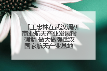 王忠林在武汉调研商业航天产业发展时强调 做大做强武汉国家航天产业基地 打造具有全国影响力的“中国星谷”