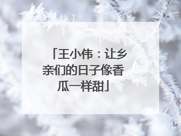 王小伟：让乡亲们的日子像香瓜一样甜