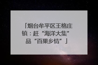 烟台牟平区王格庄镇：赶“海洋大集” 品“百果乡情”