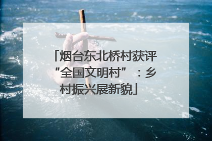 烟台东北桥村获评“全国文明村”：乡村振兴展新貌