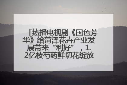 热播电视剧《国色芳华》给菏泽花卉产业发展带来“利好”，1.2亿枝芍药鲜切花绽放“国色芳华”