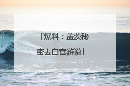 爆料：盖茨秘密去白宫游说