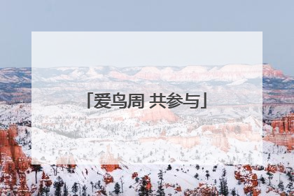 爱鸟周 共参与
