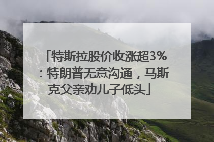 特斯拉股价收涨超3%：特朗普无意沟通，马斯克父亲劝儿子低头