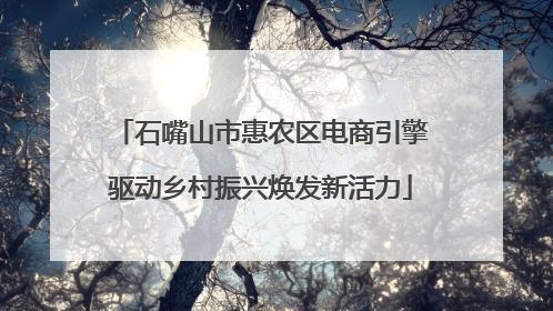 石嘴山市惠农区电商引擎驱动乡村振兴焕发新活力