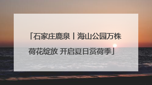 石家庄鹿泉丨海山公园万株荷花绽放 开启夏日赏荷季