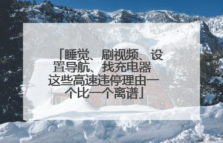 睡觉、刷视频、设置导航、找充电器 这些高速违停理由一个比一个离谱