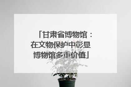 甘肃省博物馆：在文物保护中彰显博物馆多重价值