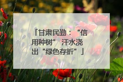 甘肃民勤：“信用种树” 汗水浇出“绿色存折”