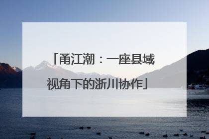 甬江潮：一座县域视角下的浙川协作