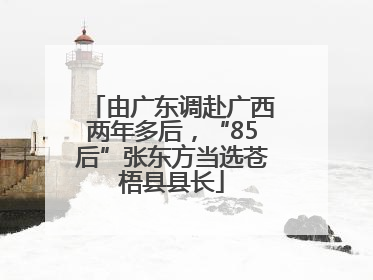 由广东调赴广西两年多后，“85后”张东方当选苍梧县县长