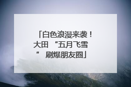 白色浪漫来袭！大田 “五月飞雪” 刷爆朋友圈