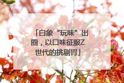 白象“玩味”出圈，以口味征服Z世代的挑剔胃