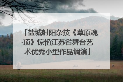 盐城射阳杂技《草原魂·顶》惊艳江苏省舞台艺术优秀小型作品调演