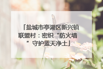 盐城市亭湖区新兴镇联盟村：密织“防火墙”守护蓝天净土