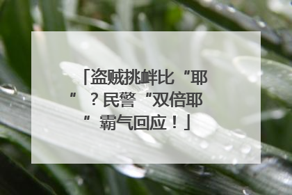盗贼挑衅比“耶”？民警“双倍耶”霸气回应！